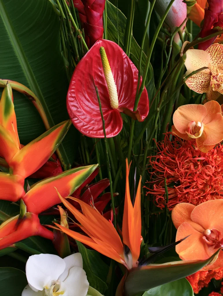 Tropical Linear Design