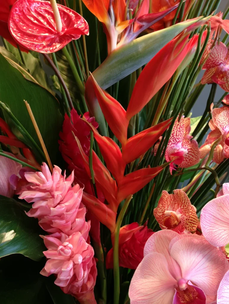 Tropical Linear Design