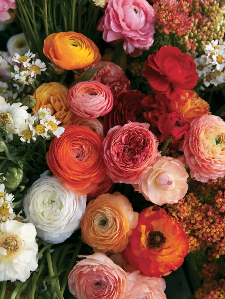 The Psychology of Flower Color: Designing Bouquets to Influence Mood